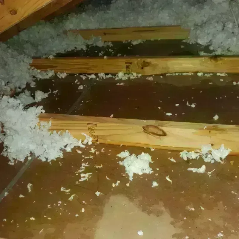 Attic Water Damage in Indios, PR